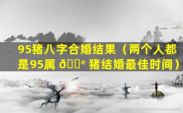 95猪八字合婚结果（两个人都是95属 💮 猪结婚最佳时间）